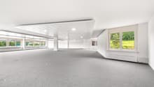 Large open space with gray carpet, white walls, ceiling lights, multiple windows, and a radiator.