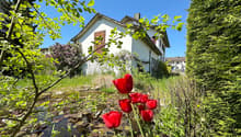 Listing picture
