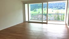 empty room, wooden floor, sliding glass doors, balcony, mountain view