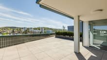 Tiled balcony, large glass doors, metal railings, large bushes, open view, high contrast shadows