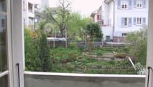 Listing picture