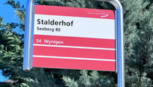 Listing picture
