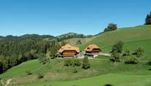 Immagine dell’oggetto