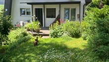 white house, flat roof, glass windows, covered entrance, garden with flowers, lawn, trees, bushes