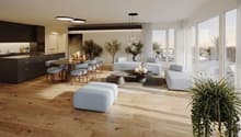 open plan living and dining area, wooden floor, large windows, modern furniture, plants