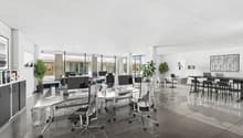 modern office with large windows and views of the outside, glass doors, desks, office chairs, laptops, tables, chairs, plants
