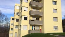 Immagine dell’oggetto