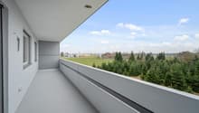 10035-15.jpg
