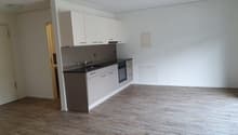 Open-concept studio apartment with white walls, hardwood-style flooring, and a modern kitchen with white cabinets, a black countertop, and a built-in dishwasher.