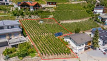 Listing picture