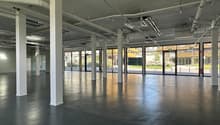 Empty industrial space with high ceilings, glass walls, concrete floor, and white columns, with natural light streaming in from the large windows.