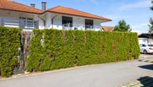 Listing picture