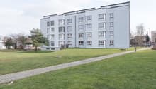Palud_19_C.jpg