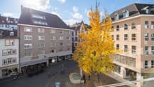 Listing picture
