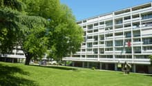 Listing picture
