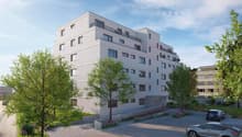 Immagine dell’oggetto