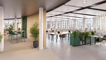 modern office with desks, chairs, plants, carpeted floor, large windows, wooden wall, suspended ceiling