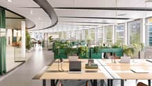 desks with laptop, office chair, pendant light, shelf with plants
