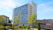 10 story white building, several windows, trees and bushes around, cars parked