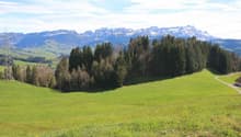 Ansicht Parzellen Nr. 1777 und Nr. 1799 mit Aussicht Richtung Süden