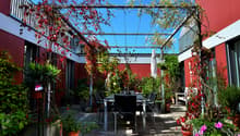 Garten_1.jpg