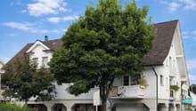 Listing picture