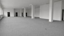 Empty room, white walls, gray carpet, four pillars, four doors, windows on the left wall