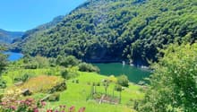Ein kleines Paradies zwischen Stein und Wasser 21
