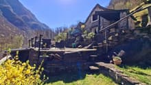 Authentisches Rustico im Grünen 832 qm Naturgrundstück nahe der Verzasca mit kleinem Pool 20