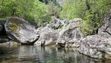 Grosszügiges Bauland mit Waldparzelle an sonniger, naturnaher Lage 10 Autominuten von Biasca entfernt 5
