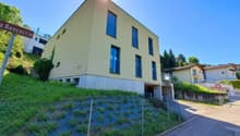 Helle energieoptimierte Architektenvilla 100