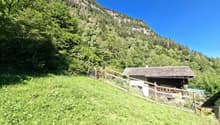 Ein wahres Alpenparadies authentisches Rustico unabhängiges Atelier und vier Parzellen voller Freiheit 2
