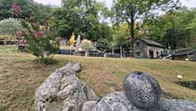 Dolce Vita im Grünen Rustico mit viel Land Privatsphäre  Topolino 18