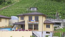 3 story house, brown roof, swimming pool, yellow walls, balcony, pool chairs, terrace, garden, vineyard view