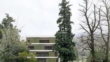 Listing picture