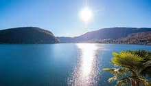 Immagine dell’oggetto