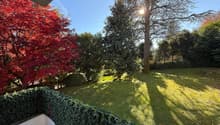 lawn, hedge, trees, sun shining, view from balcony