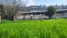 Image de l’objet