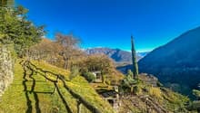 hillside garden with wooden fence, small house, plants, mountains in the background