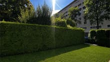 Listing picture
