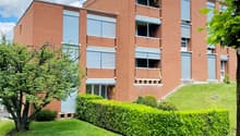 3 story brick building, multiple windows, hedges, trees, grass
