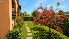 Listing picture