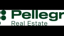 The image shows the logo for Pellegrin Real Estate, which consists of the company name 'Pellegrin Real Estate' written in green text against a black background.