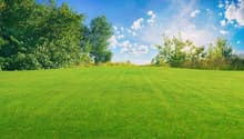 Well-maintained lawn, trees, bushes, blue sky, white clouds