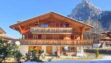 wooden chalet style house, 3 stories, balcony, mountain view