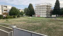 Listing picture