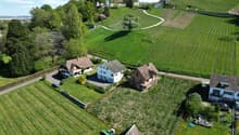 House in a vineyard, terraced houses, green lawn, trees, driveway, and parking area