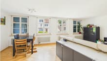 Grosszügiges Wohnzimmer