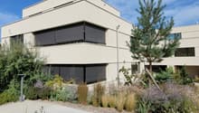 Modern architectural design, large windows, black sunblinds, concrete floor, shrubs and plants, pine tree