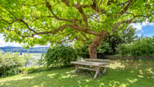 Sitzplatz im Grünen